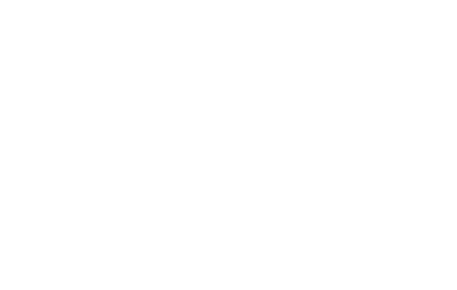 Tribeca Festival 2024 — Best Screenplay in a U.S. Narrative Feature